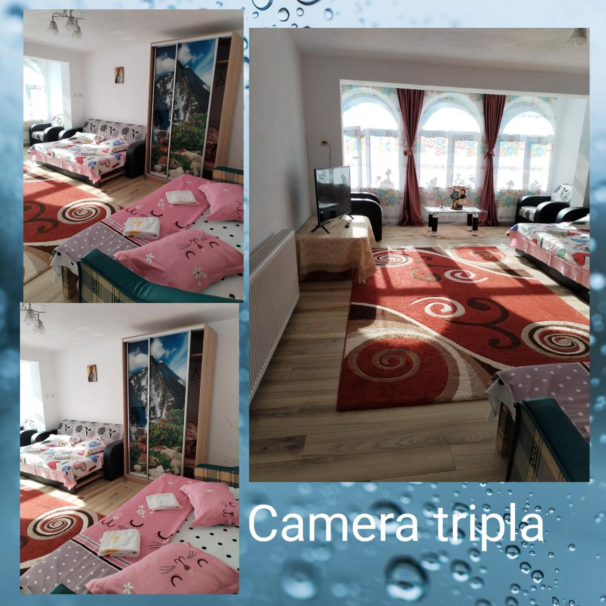 Casa Sara Hotel Dîmbovicioara Екстериор снимка