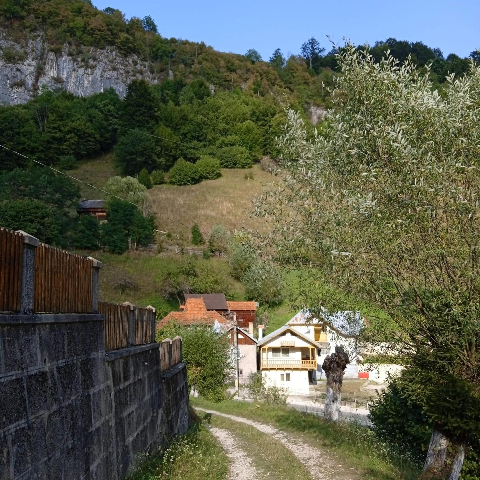 Casa Sara Hotel Dîmbovicioara Екстериор снимка